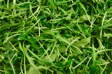 Fresh leaves of arugula as background.