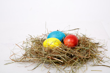 easter eggs in a nest of grass on a white background