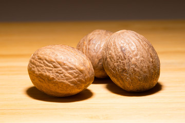 gałka muszkatołowa