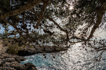 Seacoast of Cap d’Ail in a sunny winter day