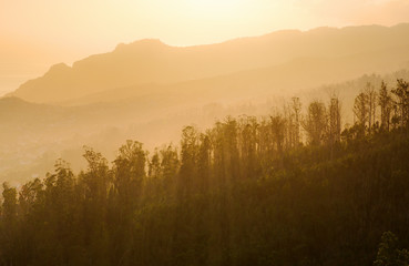 Beautiful view of the golden light on the hills of Monte Funchal on the island Madeira at sunset in summer