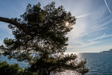 Obraz premium Sunlight reflected on the sea of Cap Martin in a sunny winter day