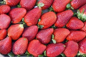  Background of many colorful fresh strawberries