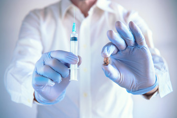 Biotech foods. Test on food concept, scientist with blue latex gloves holding a syringe and a bean (working on a genetic modification of agricultural products)