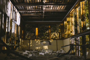 forest ranger house in the forest