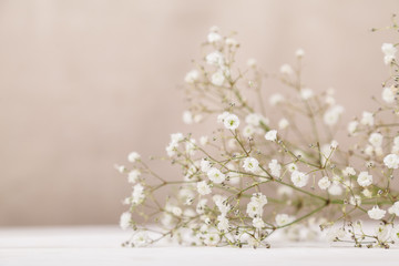 Small white flowers gypsophila on wood table at pale pastel beige background. Minimal lifestyle...