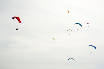 Group of paraglider flying in the blue sky against the background of clouds. Paragliding in the sky on a sunny day.