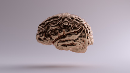Bronze Anatomical Brain Left 3d illustration 3d render