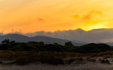 Fototapeta premium Morning landscape. Sunrise. View of the mountains and windmills.