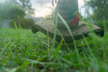 worker cutting grass in garden with the weed trimmer