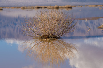 Plakat flooded desert dry lake in Death Valley march of 2019