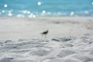Tropical white sand beach on Longboat Key Florida