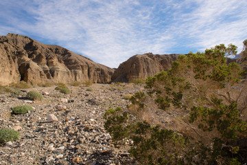 Mojave desert inside a dry wash 