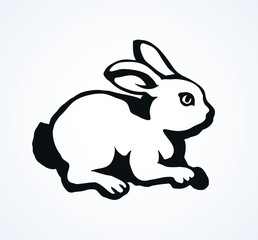 Hare. Vector drawing