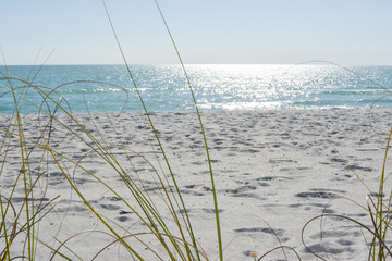 Tropical white sand beach on the gulf coast of Florida near St. Petersburg