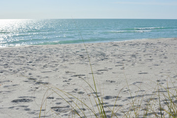 Tropical white sand beach on the gulf coast of Florida near St. Petersburg