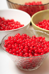 Fresh red currants in bowls close up