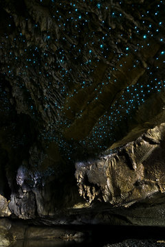 Amazing New Zealand Tourist attraction glowworm luminous worms in caves. High ISO Photo.