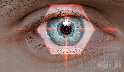 biometric retina scan or vision test