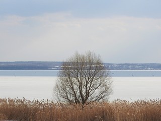 lake Pleshcheyevo landscape. winter in cold Russia.