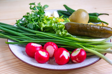 radish, parsley, onion, pickled cucumber and other vegetables on a plate