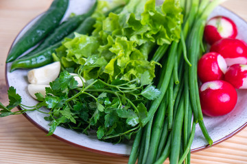 radish, parsley, onion and other vegetables on a plate