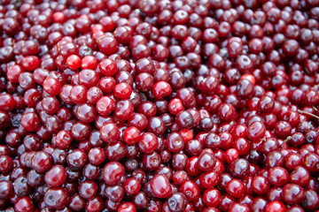 Kirschen