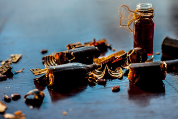 Golden shower tree or garmalo or Amaltas or Cassia fistula oil in a transparent glass bottle along with its fruit and cut pulp on wooden surface.