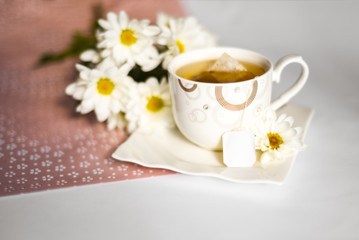 beautiful white chamomile and a cup of green tea on the table