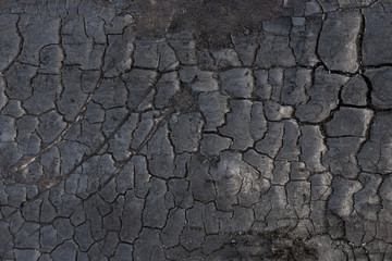 burnt tree bark background texture