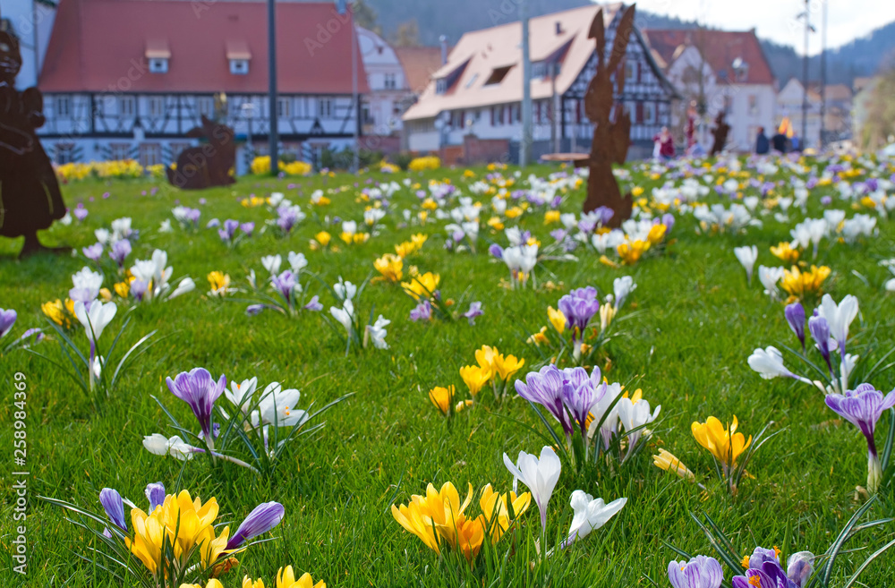 Canvas Prints Frühlingswiese in Bad Herrenalb