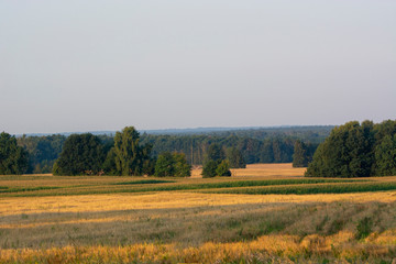 Fototapeta premium landscape of forests and fields