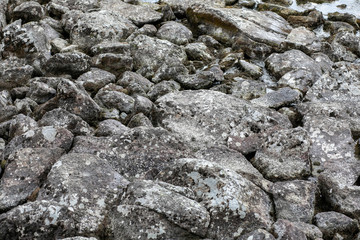 Large boulders in a mountain forest