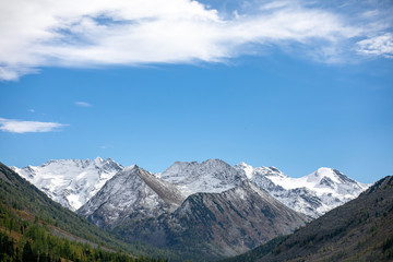 Fototapeta premium landscape with mountains, green trees and blue lake on a cloudy sky background Altai