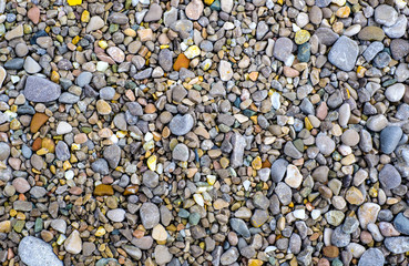 Wet stones on the sea coast
