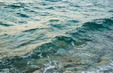 Sea surface with waves