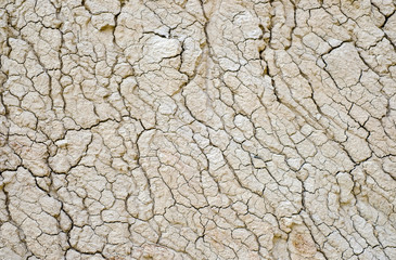 Dry cracked earth texture