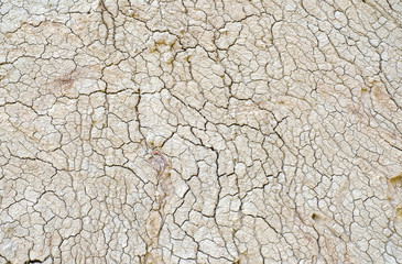 Dry cracked earth texture