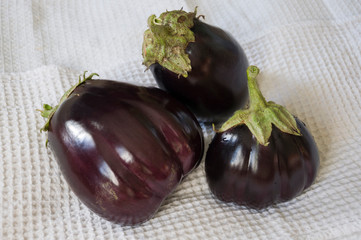 Three rape eggplants are laying on the white background. Autumn vegetables. Delicious and healthy food