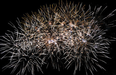 Colorful fireworks in the sky on black background