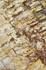 wooden texture background