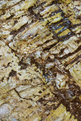 wooden texture background