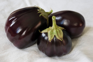 Three rape eggplants are laying on the white background. Autumn vegetables. Delicious and healthy food