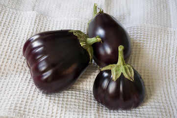 Three rape eggplants are laying on the white background. Autumn vegetables. Delicious and healthy food