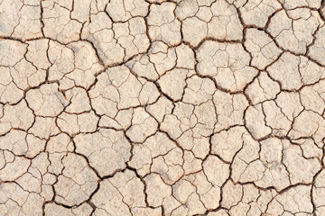 Soil drought cracks texture white background for design