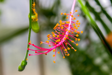 The beauty of Kew Gardens
