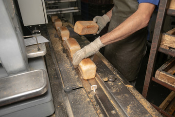 Manufacture of bread. Conveyor with dough. Capacity of the dough. Kneading dough at the bakery. Workshop of the manufacture dough.