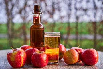 Rustic bottle and glass of fresh sparkling apple cider and red riped apples on the stone granit table in the garden restaurant during spring sunny evening, Picture taken in golden hour before sunset.
