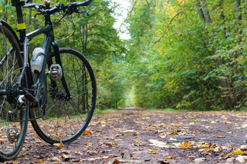 Fototapeta na wymiar Relaxing and biking in the fall. Cycling through the autumn forest. Cyclists riding through the woods. 