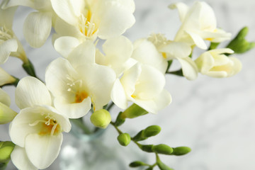 Beautiful bouquet of spring freesia flowers on color background, closeup